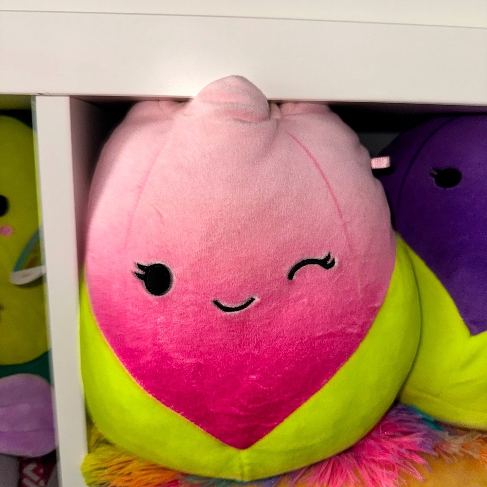 Squishmallows Pink Tulip Listing For Live Show
